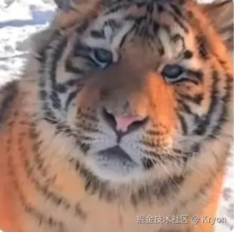 Kryon于2024-08-23 09:47发布的图片