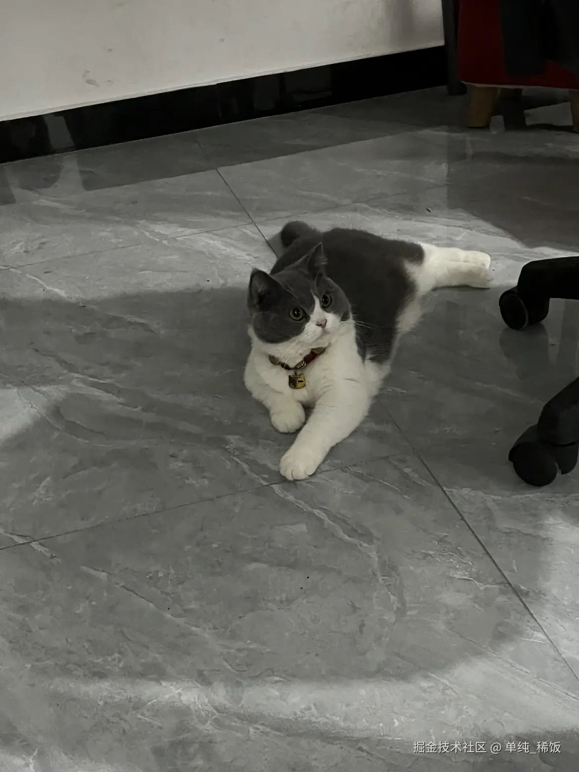 单纯_稀饭于2024-09-20 06:54发布的图片