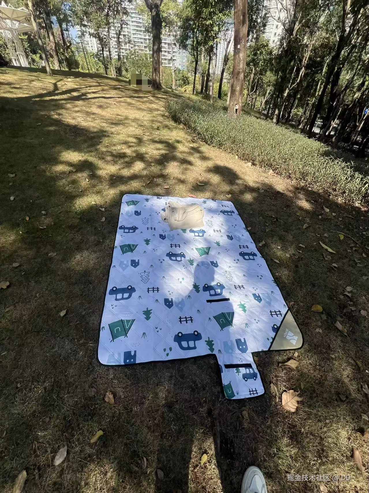 DD丶于2026-01-14 14:24发布的图片