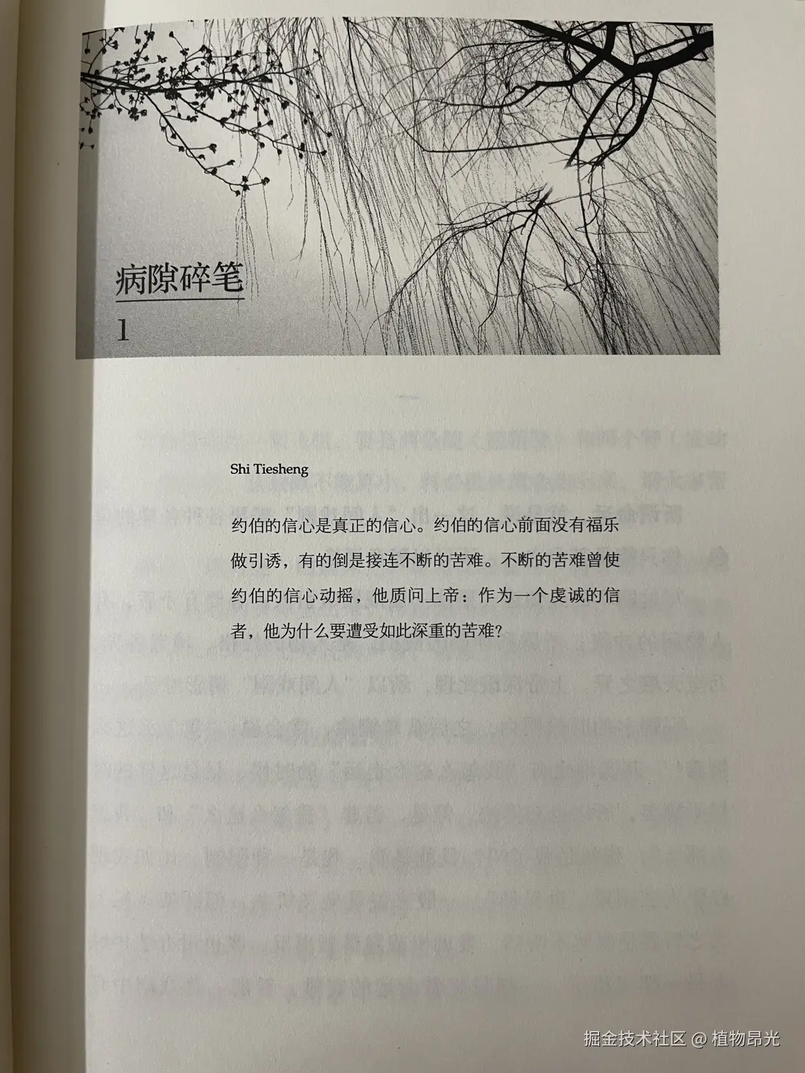 植物昂光于2026-05-02 21:41发布的图片