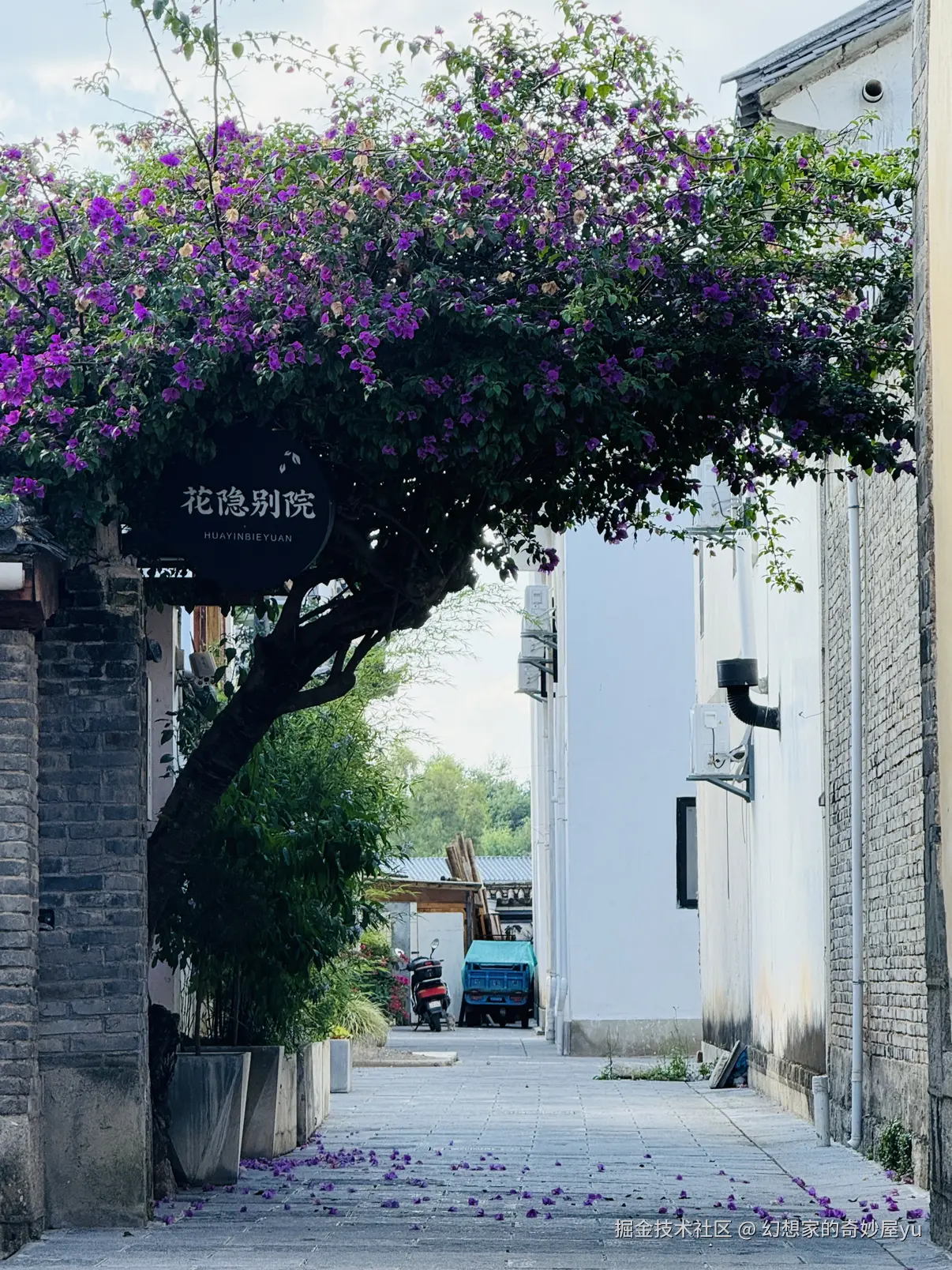 幻想家的奇妙屋yu于2025-06-16 10:45发布的图片