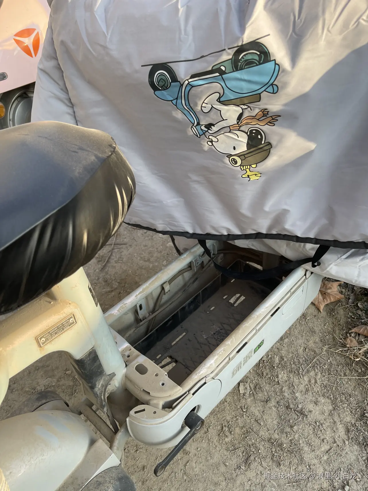 浪里_小白龙于2026-01-12 09:09发布的图片