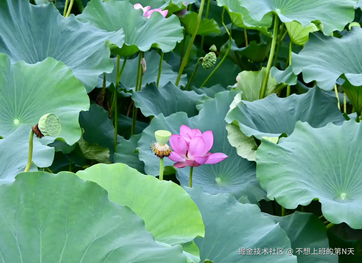 不想上班的第N天于2025-07-21 10:37发布的图片