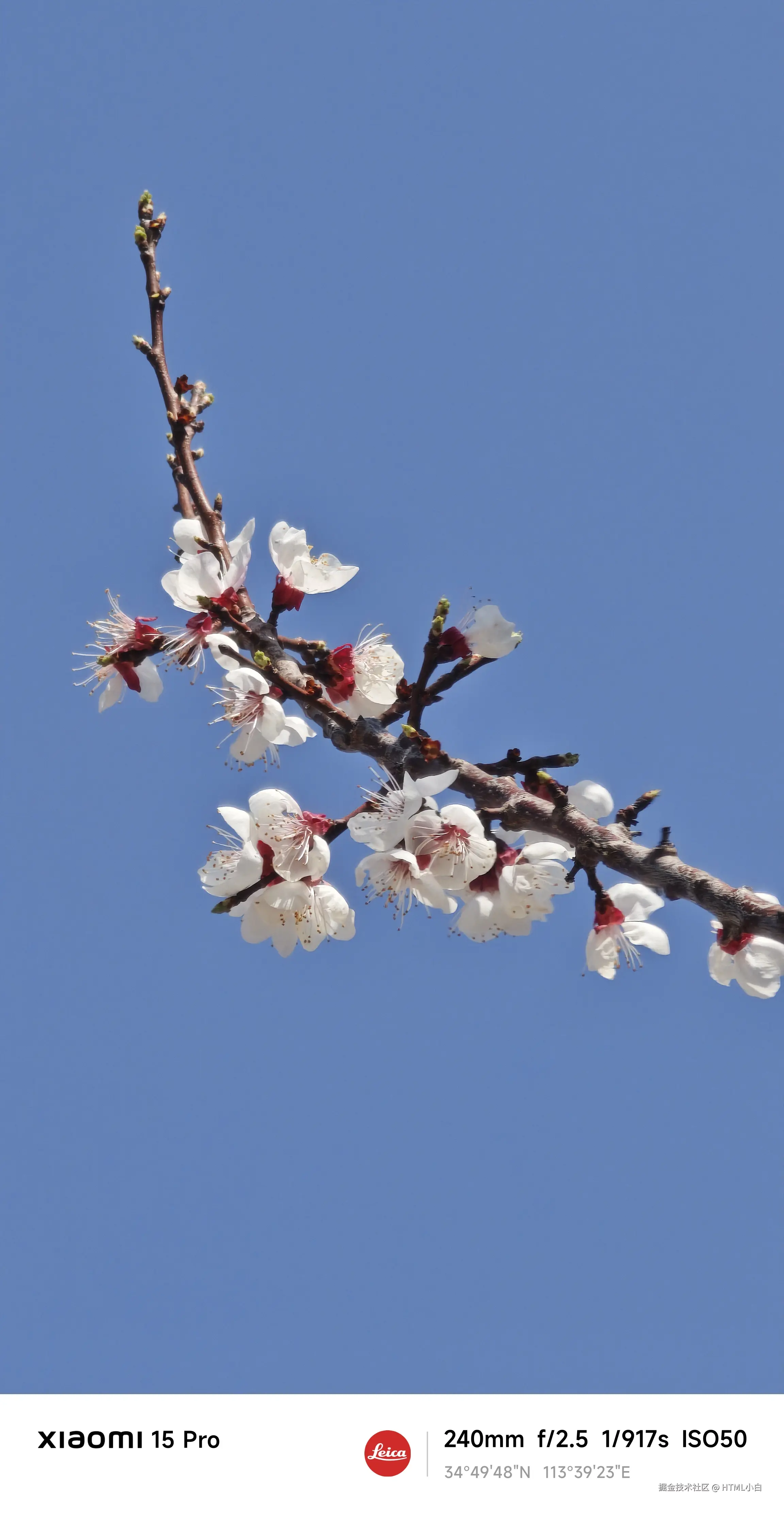 HTML小白于2025-03-19 09:31发布的图片