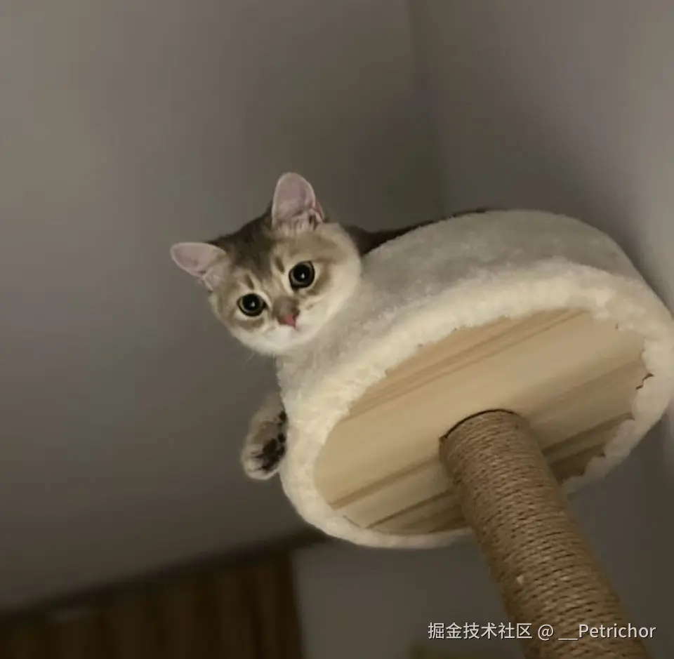 __Petrichor于2026-01-23 14:45发布的图片