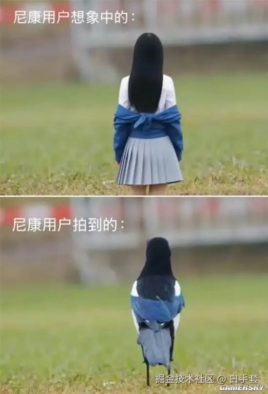 白手套于2026-04-04 17:38发布的图片