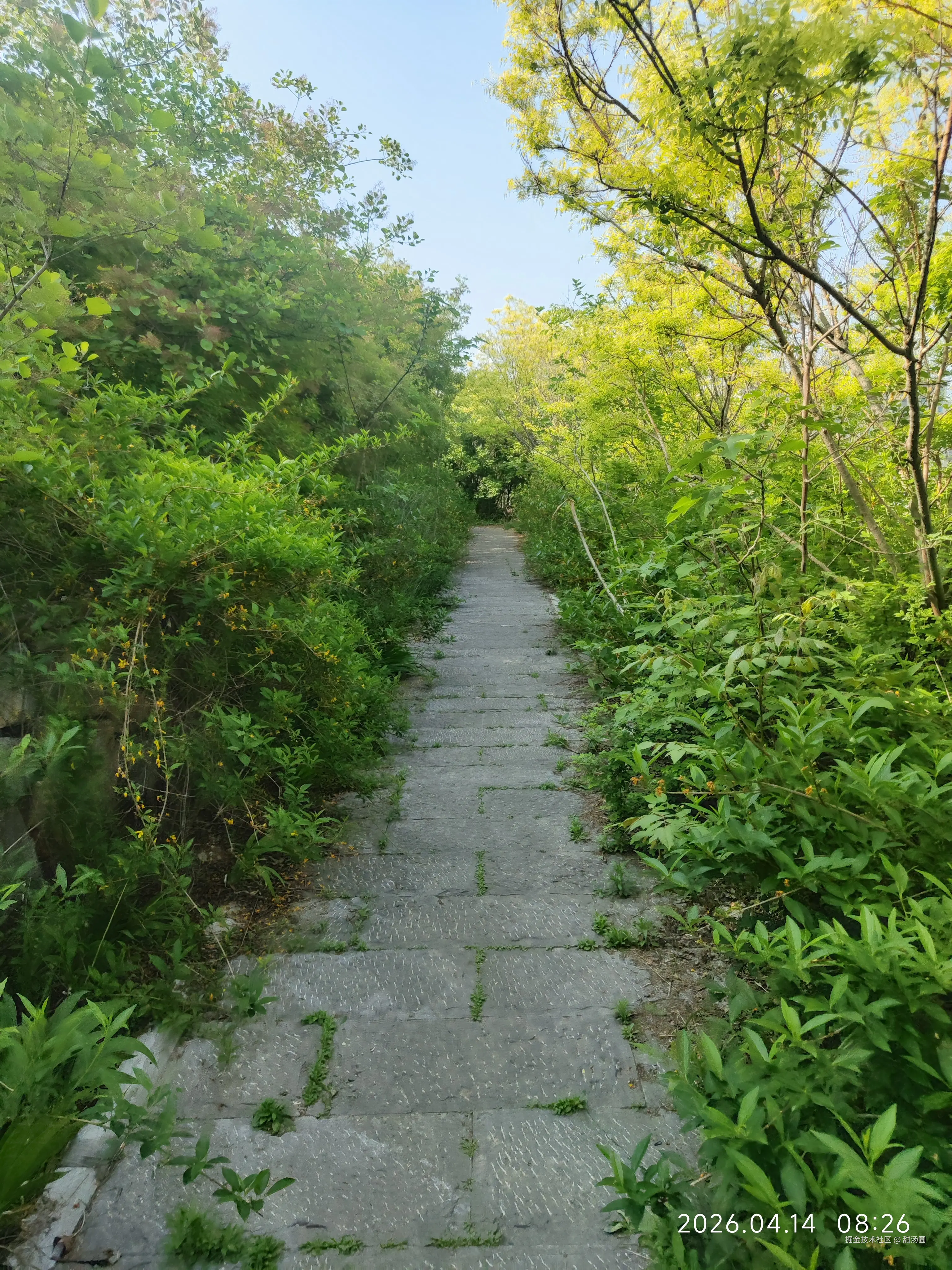 甜汤圆于2026-04-14 08:46发布的图片