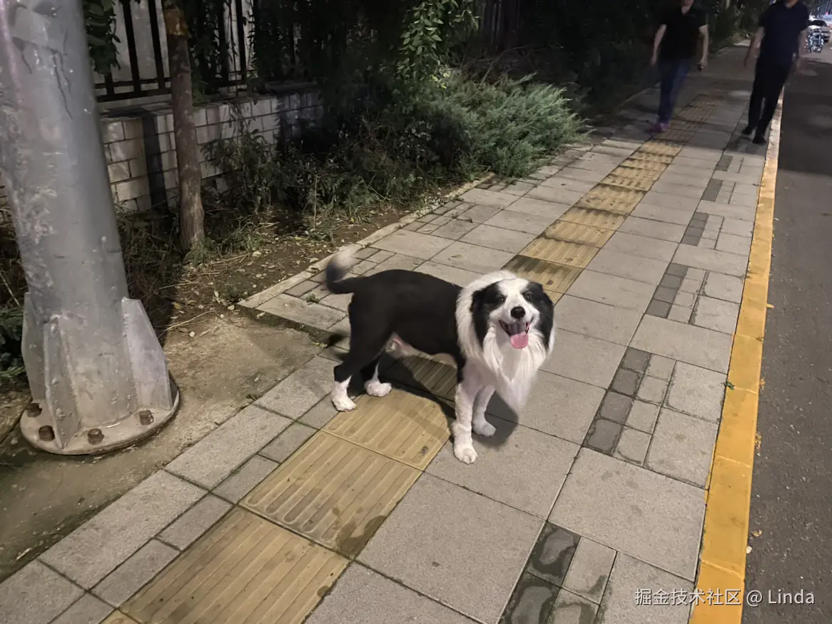 Linda于2025-09-08 09:51发布的图片