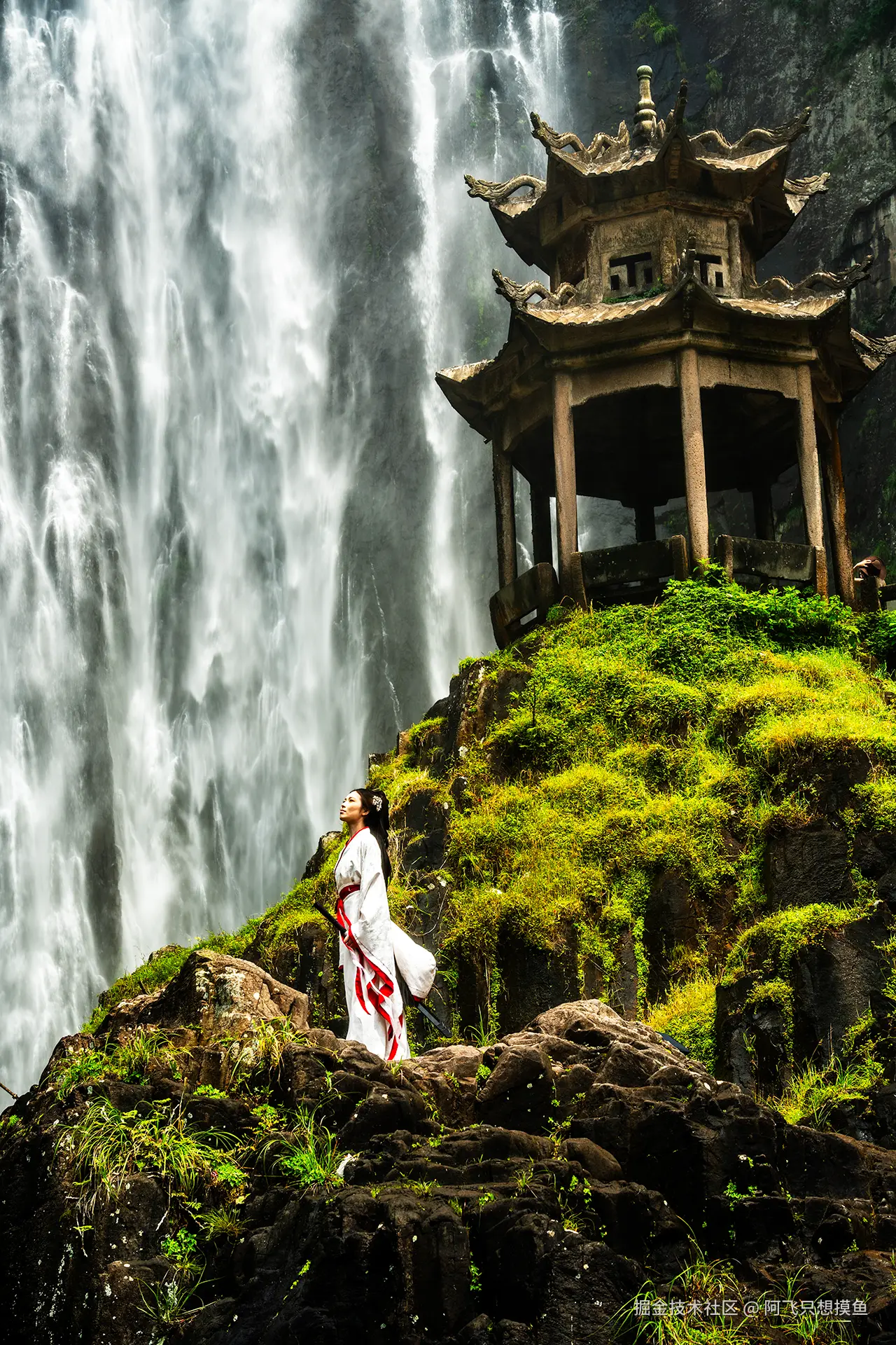 阿飞只想摸鱼于2025-07-16 10:45发布的图片