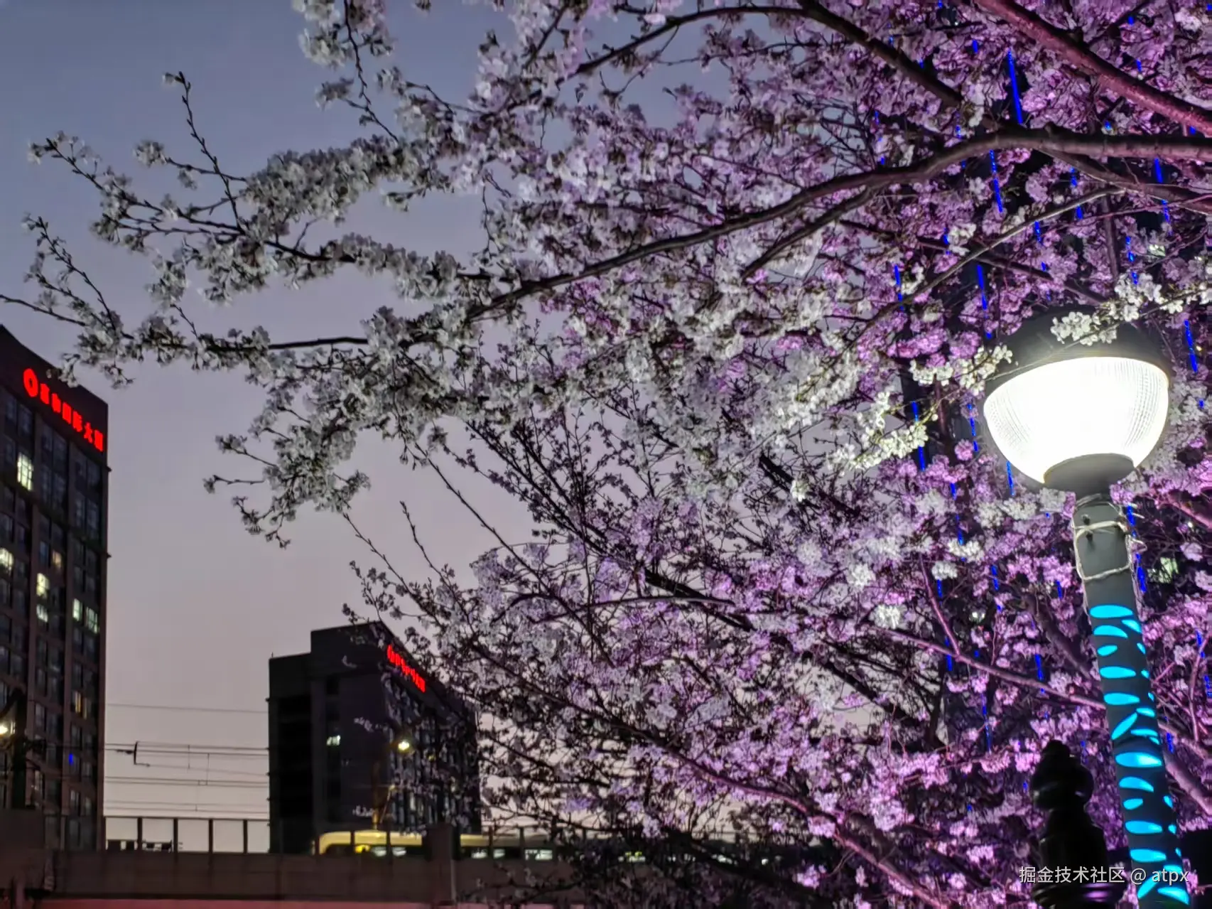 atpx于2025-03-27 09:48发布的图片