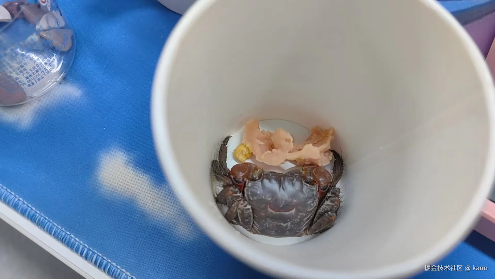 kano于2025-05-22 13:10发布的图片