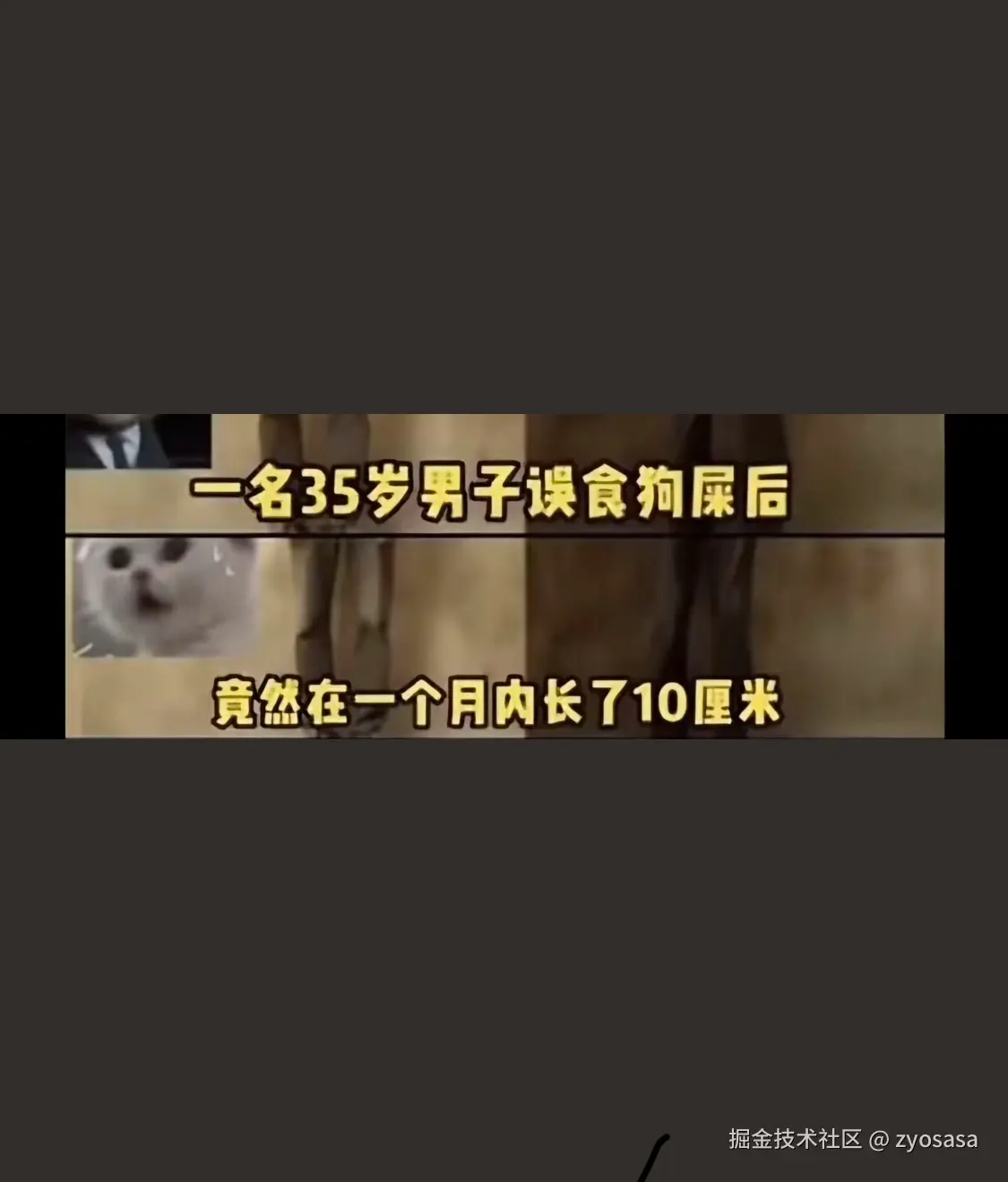 zyosasa于2024-08-18 18:43发布的图片