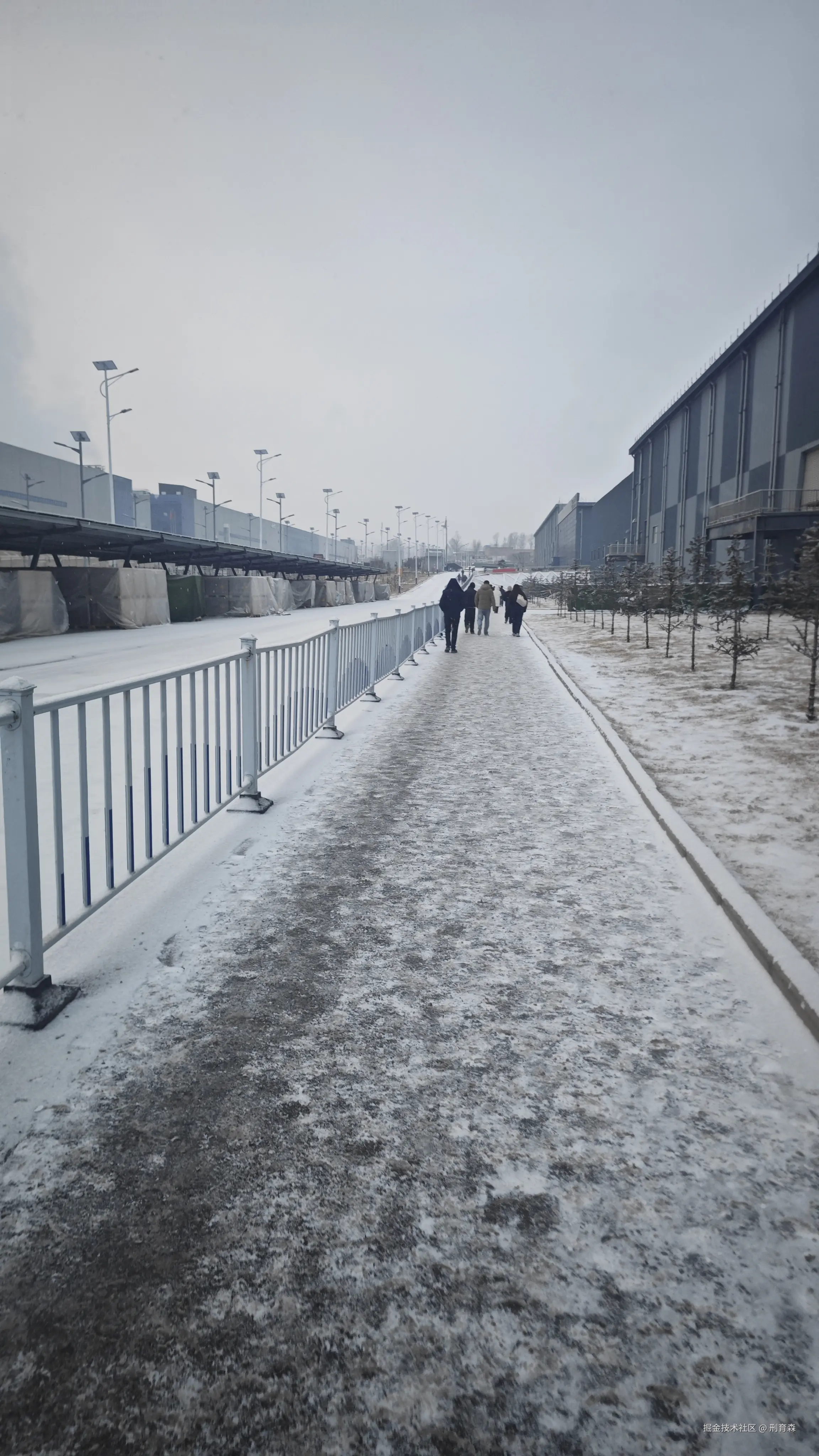 刑育森于2026-01-30 00:32发布的图片