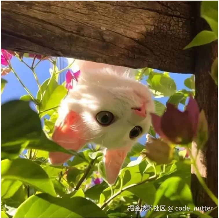 code_nutter于2024-09-27 08:04发布的图片