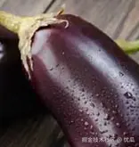 忧瓜于2025-04-14 17:54发布的图片