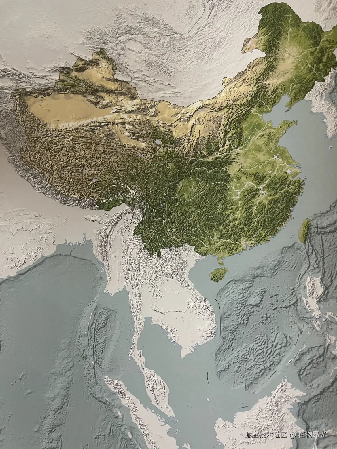 植物昂光于2026-04-29 21:31发布的图片