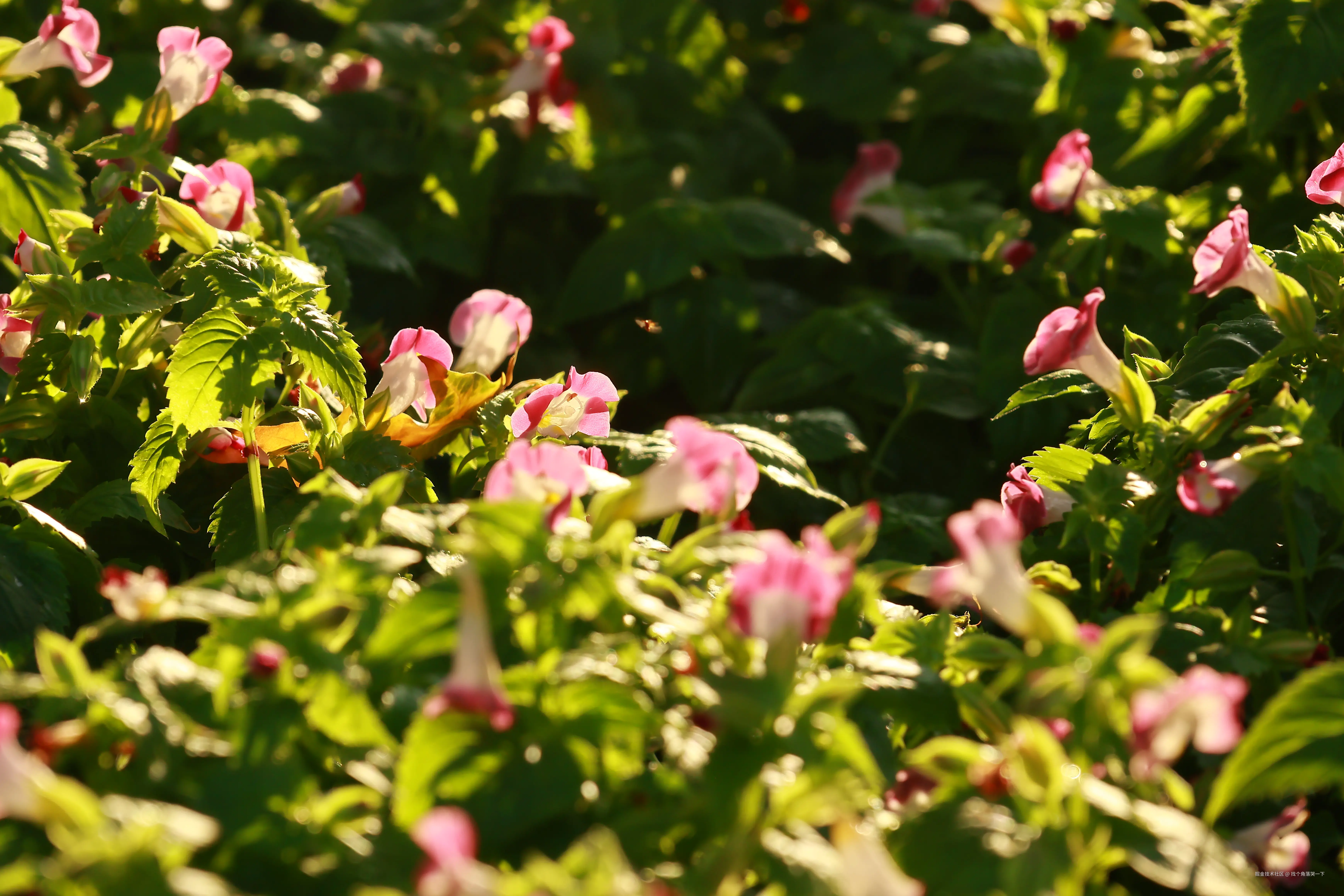 找个角落哭一下于2025-07-28 13:49发布的图片