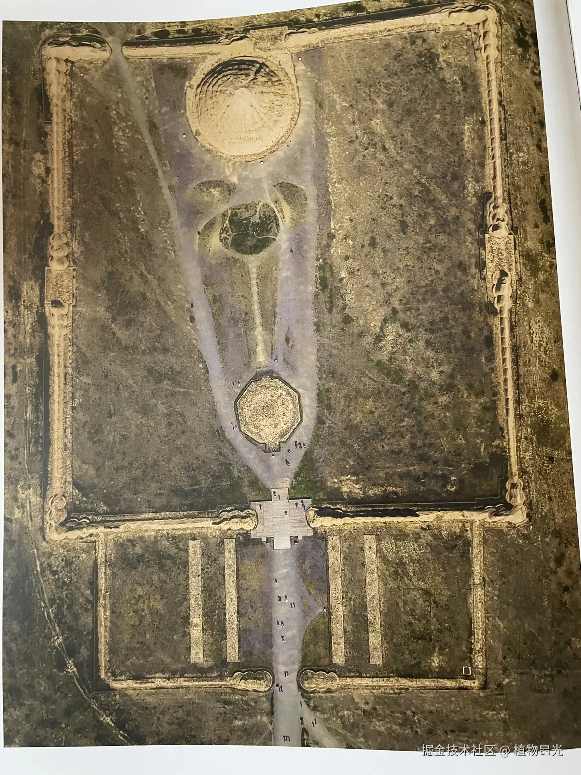 植物昂光于2026-05-01 20:43发布的图片