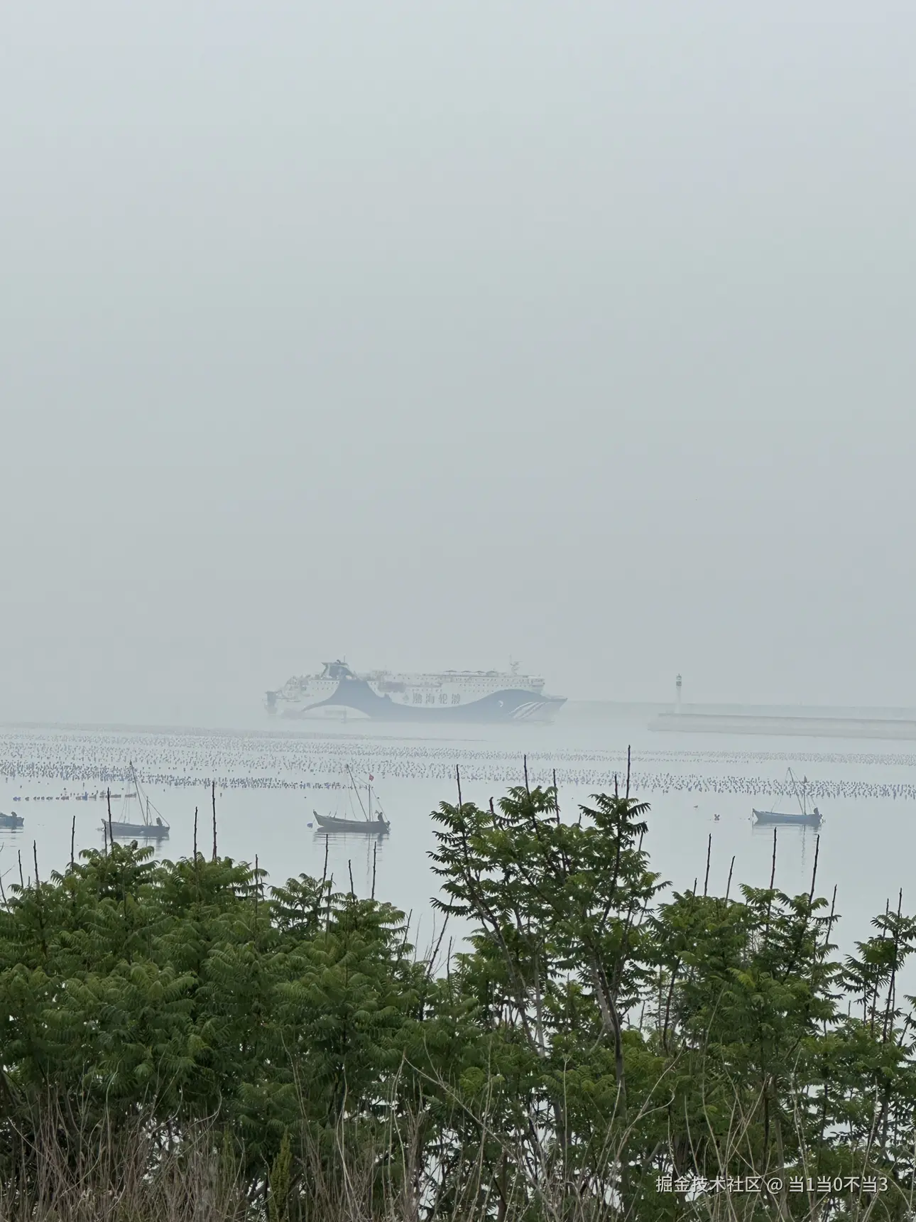 当1当0不当3于2025-06-05 04:40发布的图片