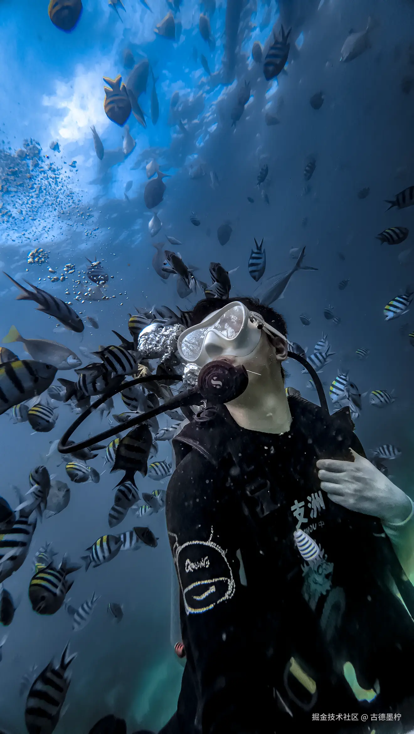 古德墨柠于2025-06-05 11:25发布的图片