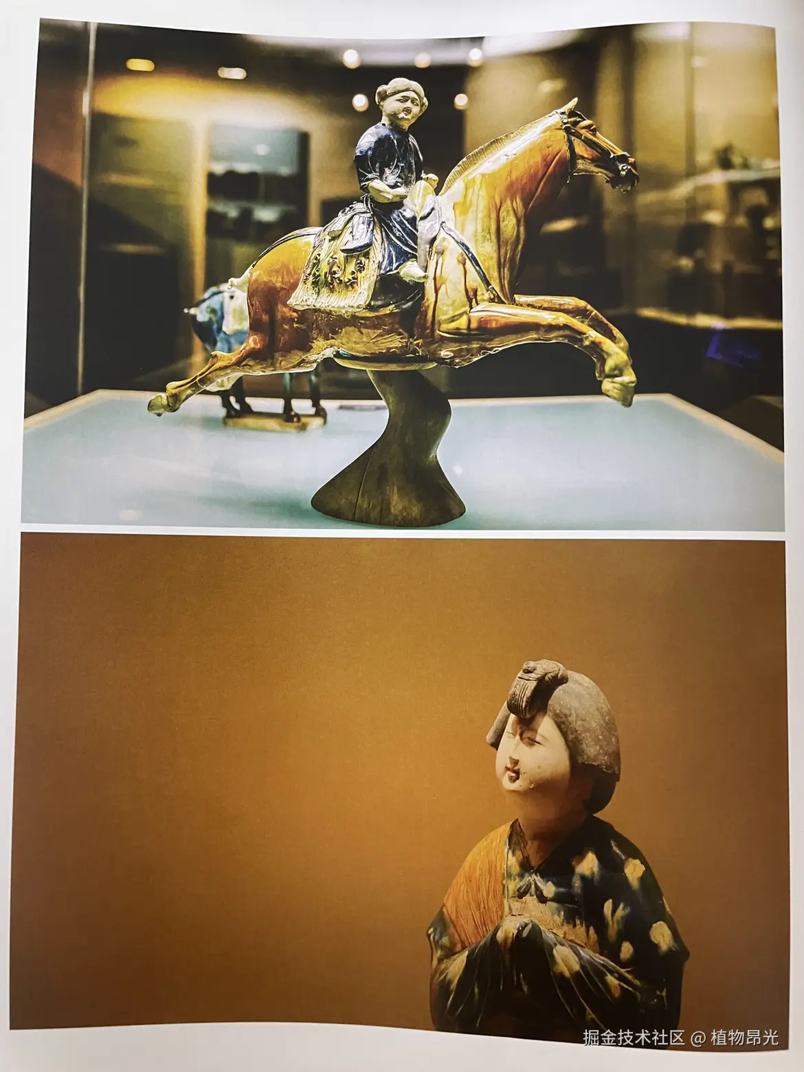 植物昂光于2026-03-31 21:07发布的图片