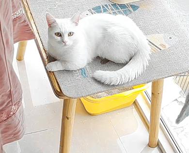 就爱吃火锅于2025-10-09 11:10发布的图片