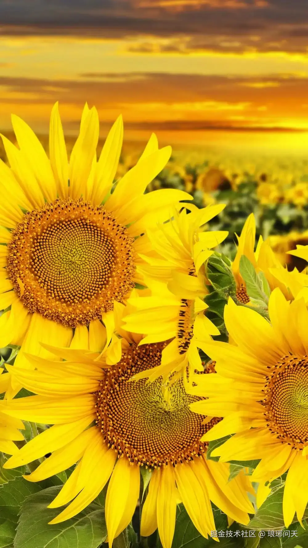 琅琊问天于2026-02-12 23:19发布的图片