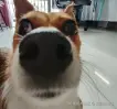 沉默的龙王于2025-07-04 08:03发布的图片