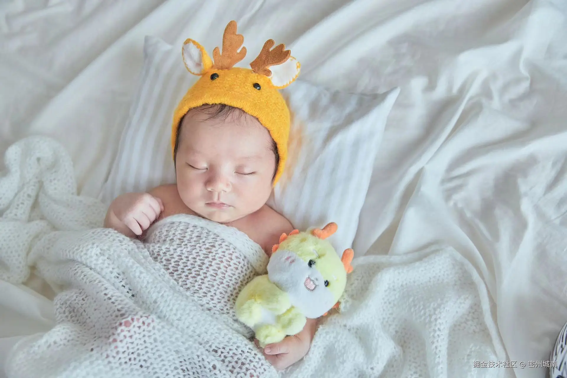 密州城南于2024-08-12 11:43发布的图片