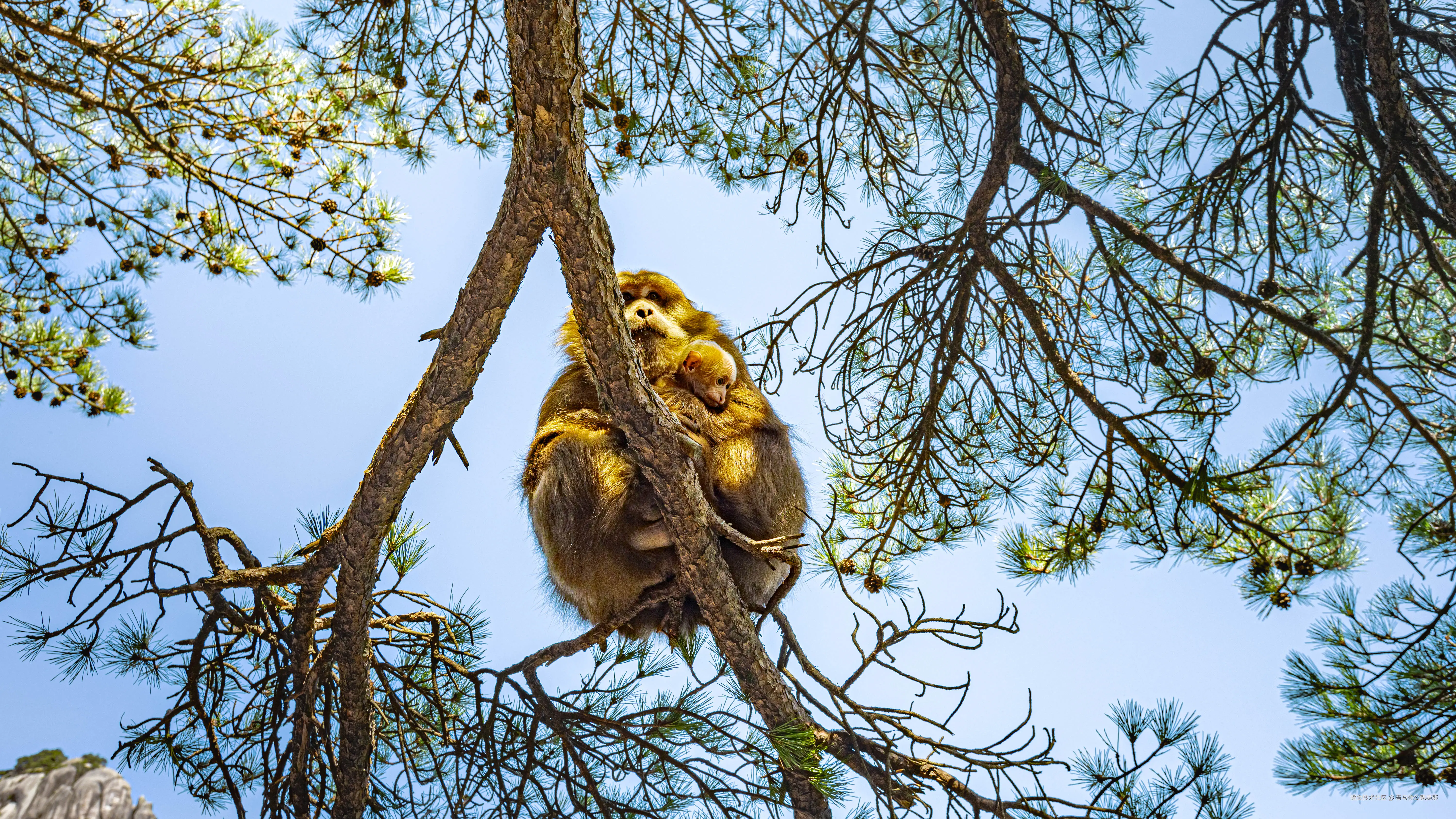 吾与徐公孰美耶于2025-05-08 16:00发布的图片
