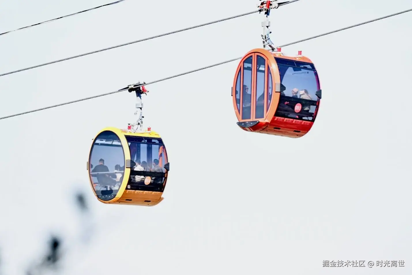 时光离世于2025-12-01 10:34发布的图片