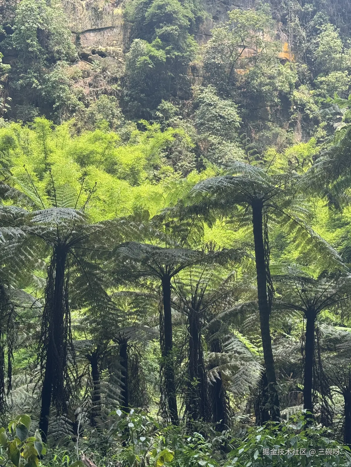 三碗呀于2025-08-18 09:50发布的图片