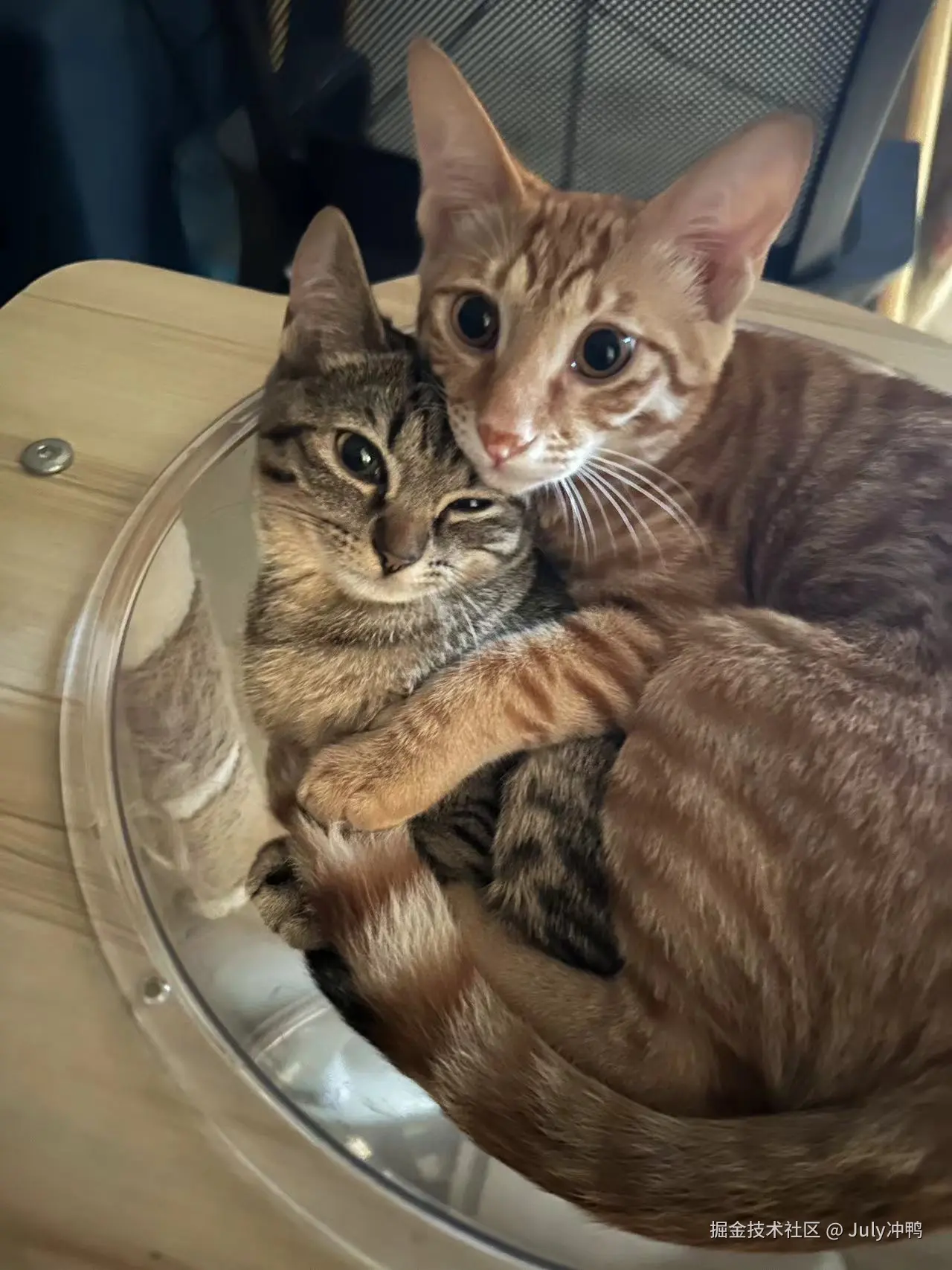 July冲鸭于2024-09-14 11:19发布的图片