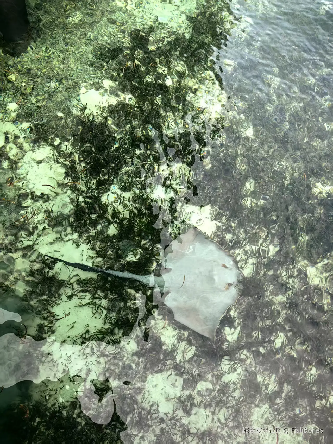 FishBones于2025-10-09 15:46发布的图片