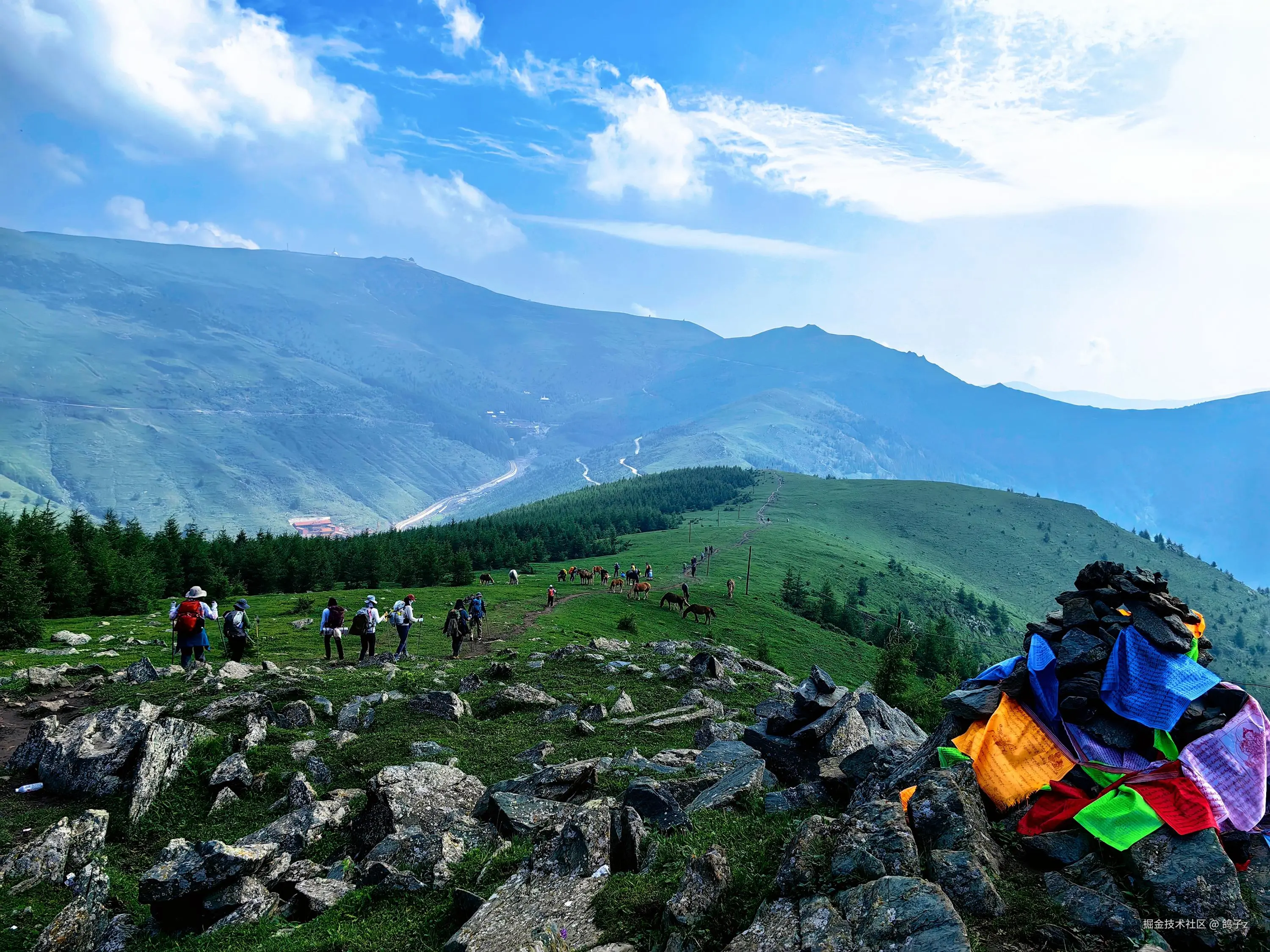 鸽子z于2025-07-14 14:20发布的图片