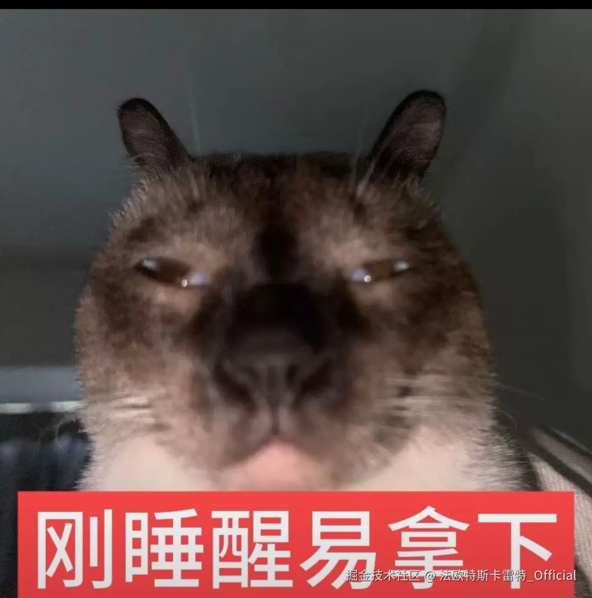 法欧特斯卡雷特_Official于2025-12-06 09:13发布的图片