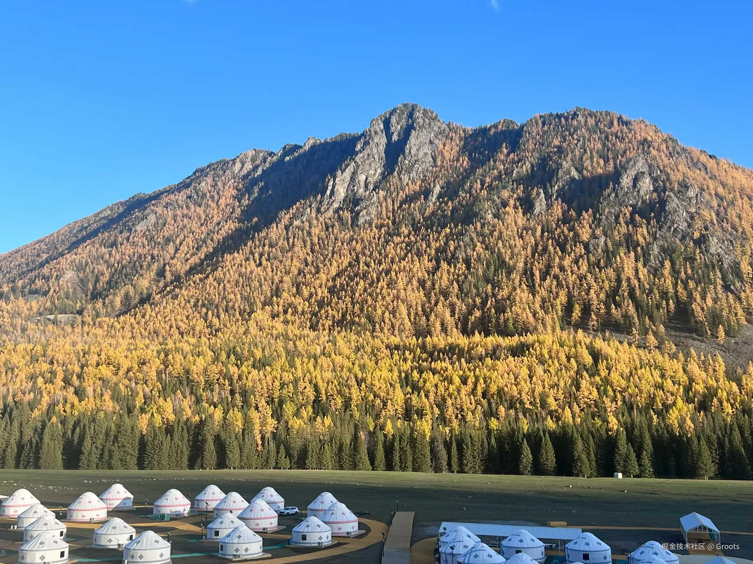 Groots于2025-09-29 01:56发布的图片