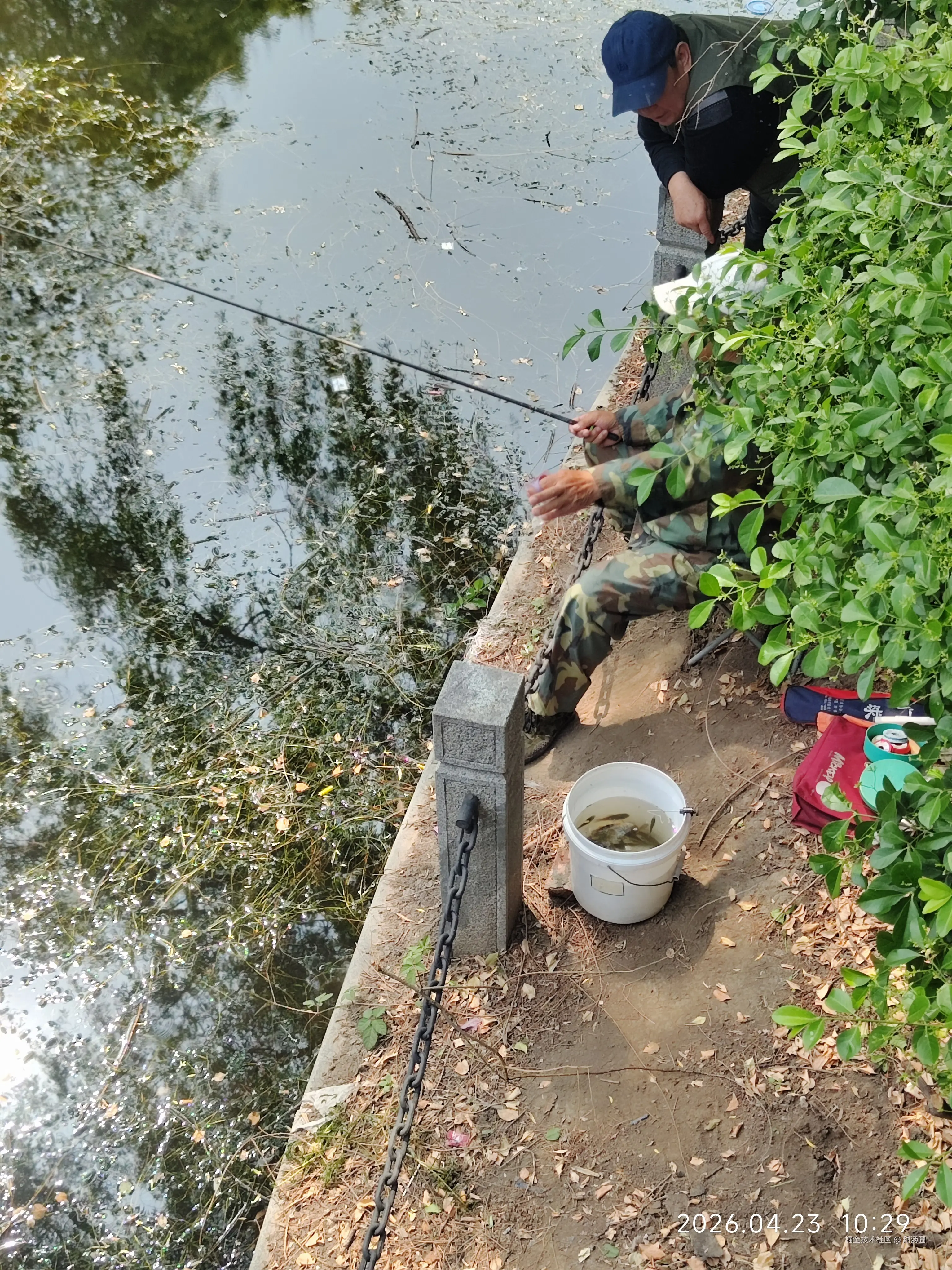 甜汤圆于2026-04-23 10:39发布的图片