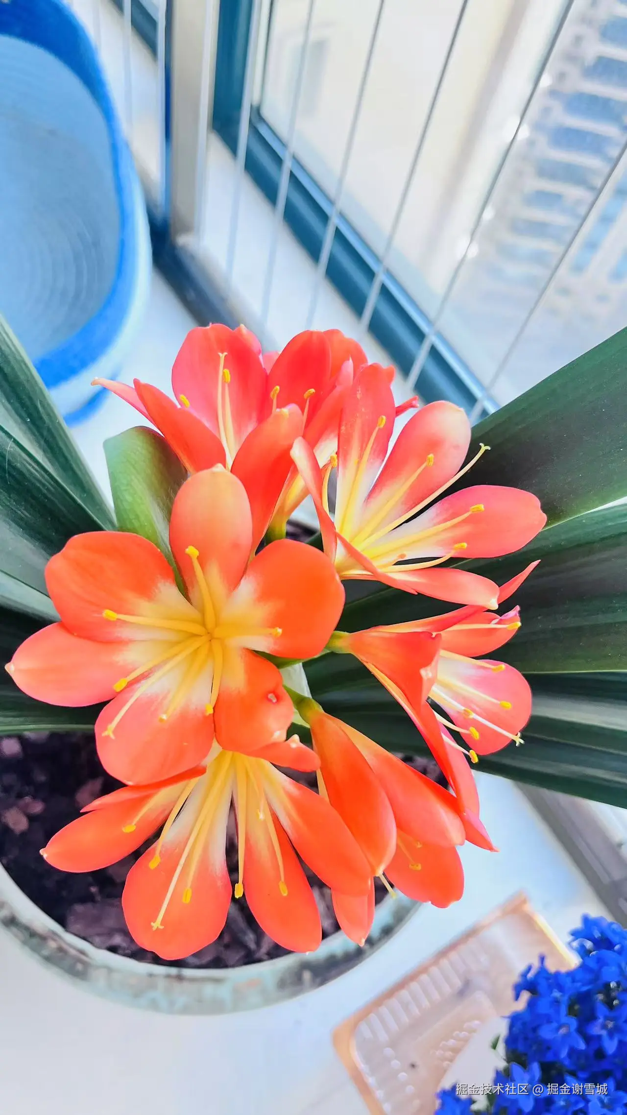 掘金谢雪城于2025-02-28 13:52发布的图片