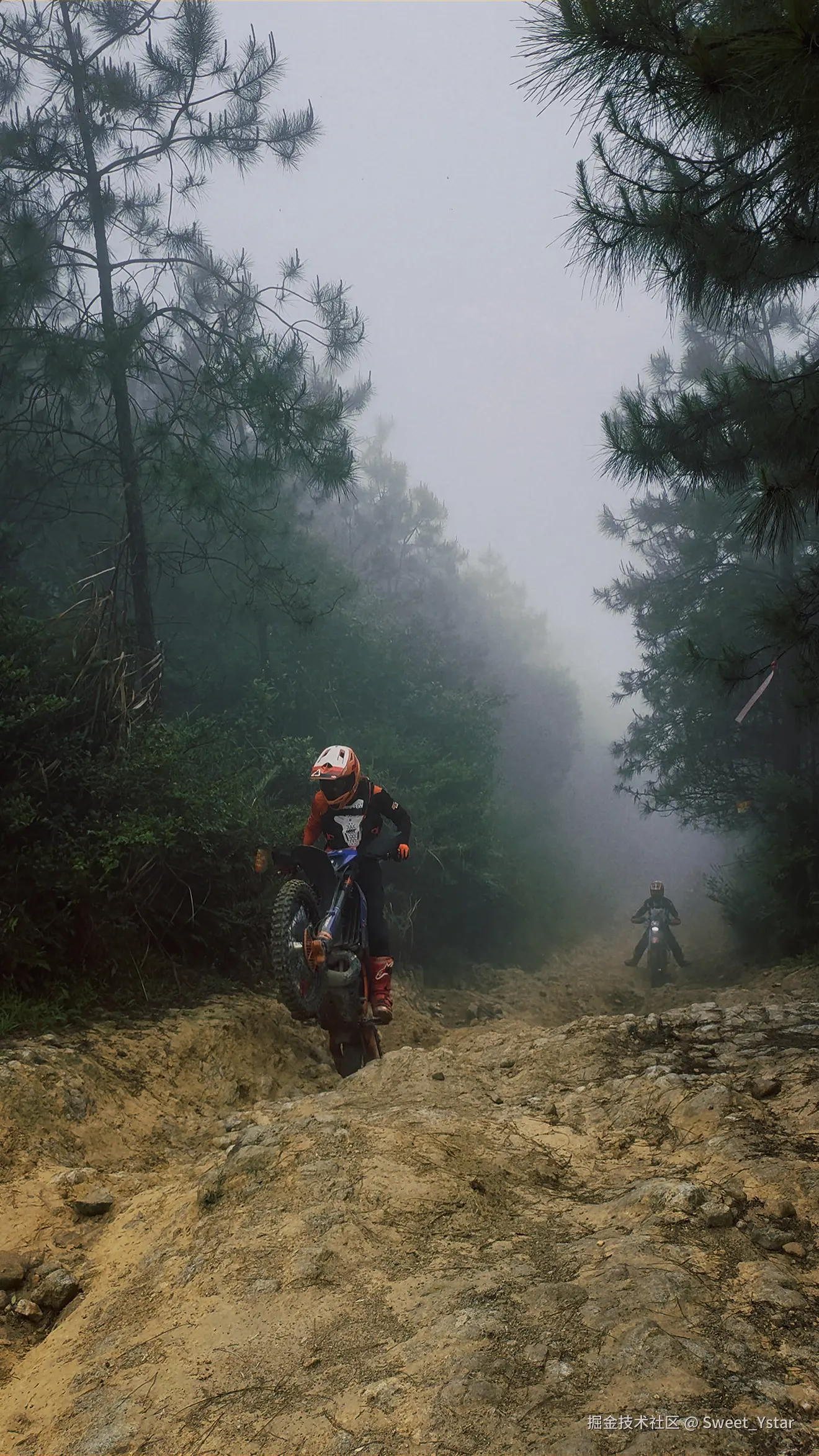 Sweet_Ystar于2026-04-14 14:41发布的图片