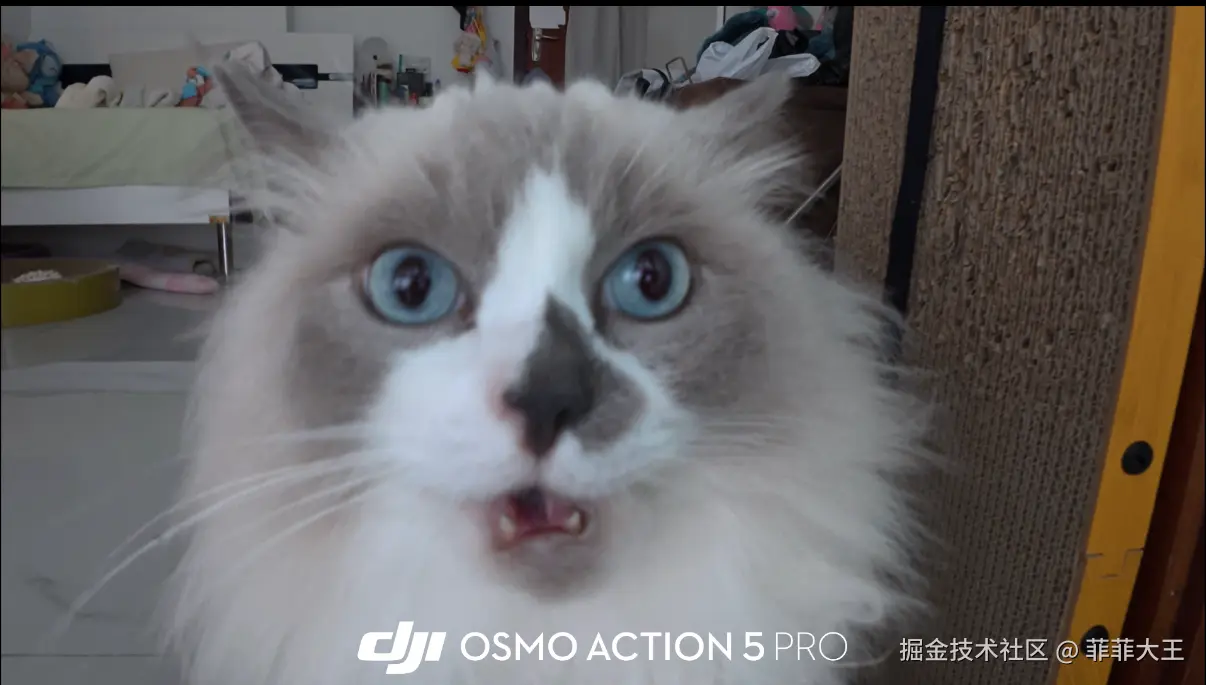 菲菲大王于2025-10-21 11:38发布的图片