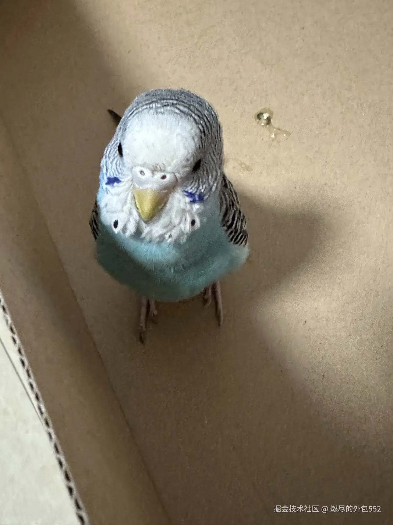 燃尽的外包552于2025-04-09 10:55发布的图片