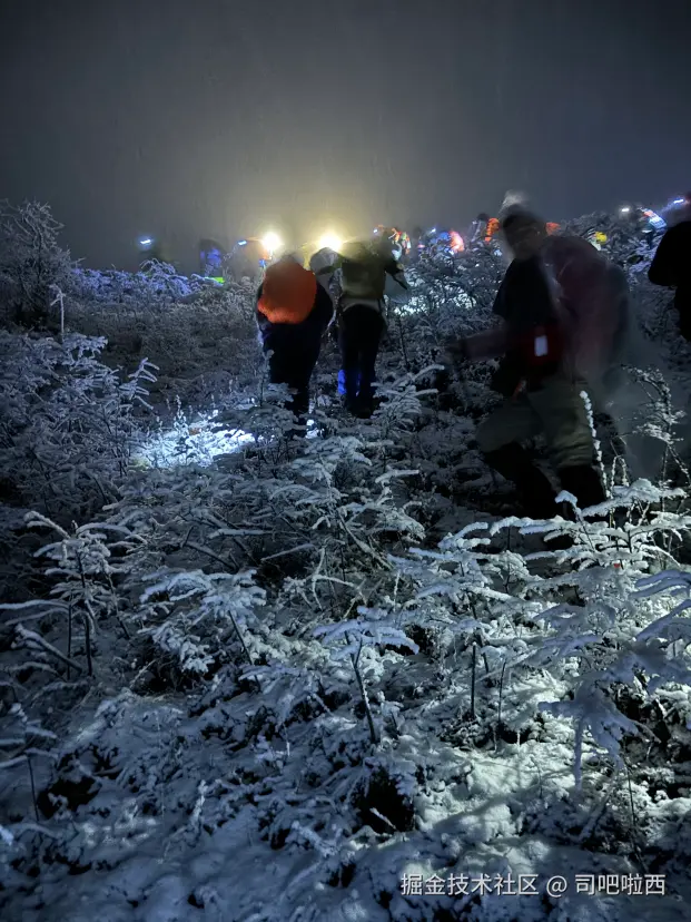 司吧啦西于2024-11-18 13:59发布的图片