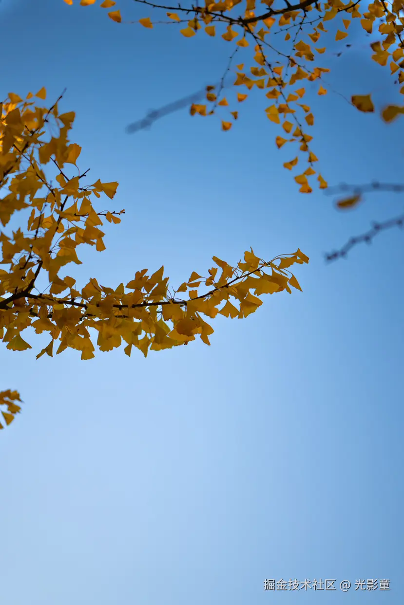 光影童于2025-11-28 10:03发布的图片