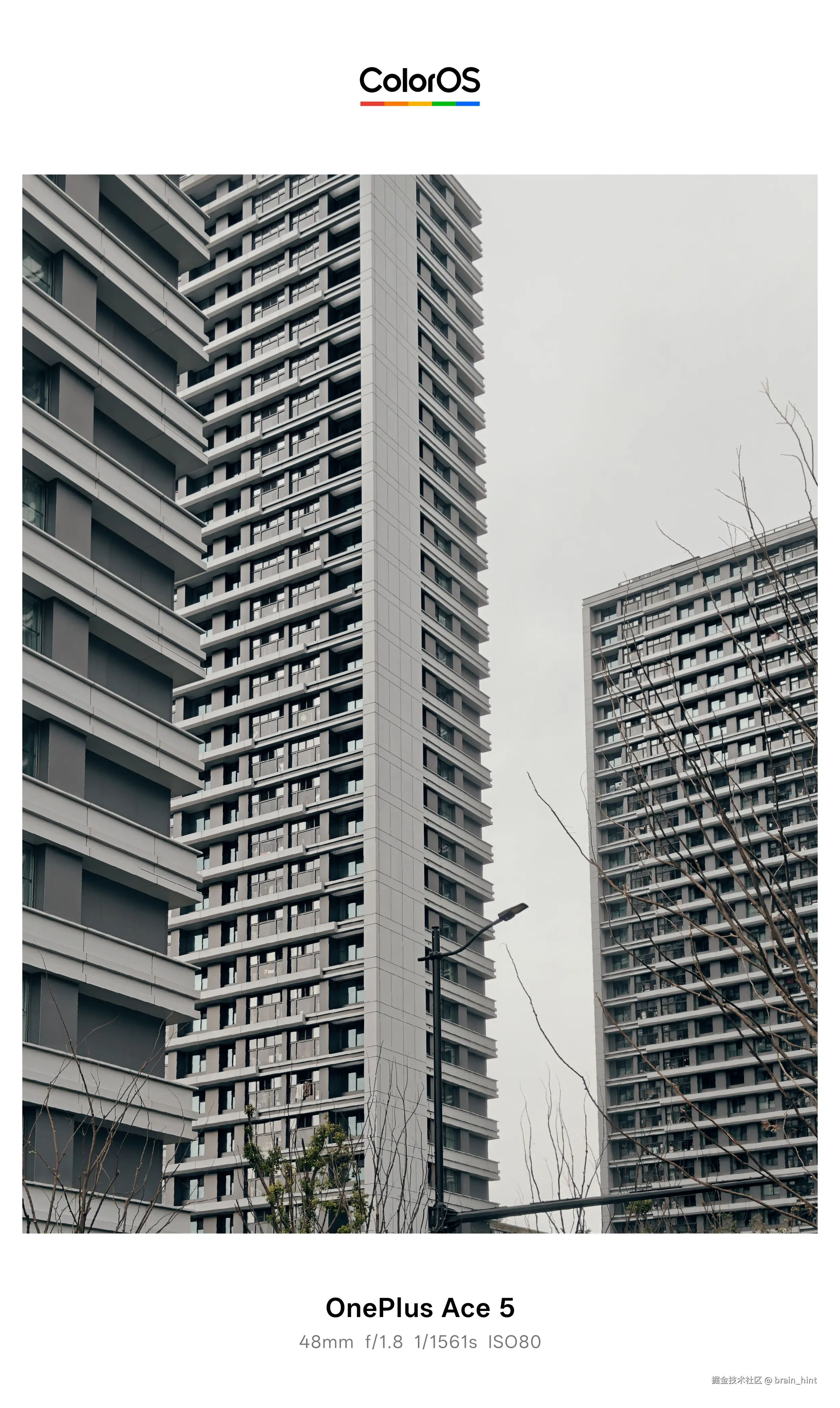 brain_hint于2025-11-12 13:53发布的图片