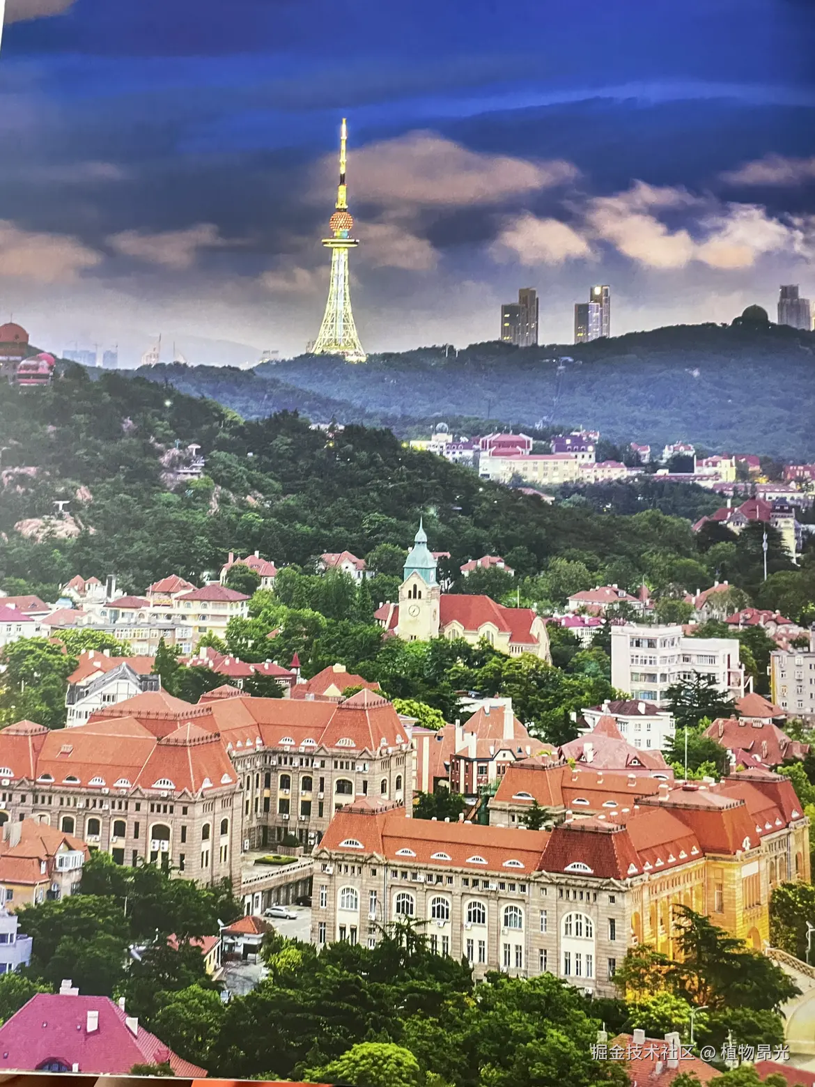 植物昂光于2026-04-23 21:31发布的图片