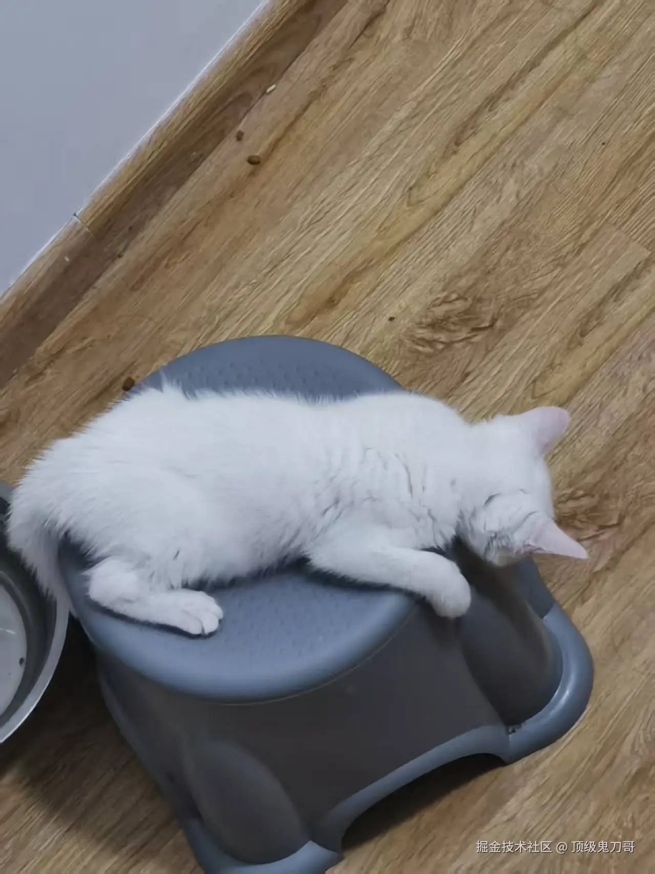 顶级鬼刀哥于2025-09-11 10:22发布的图片