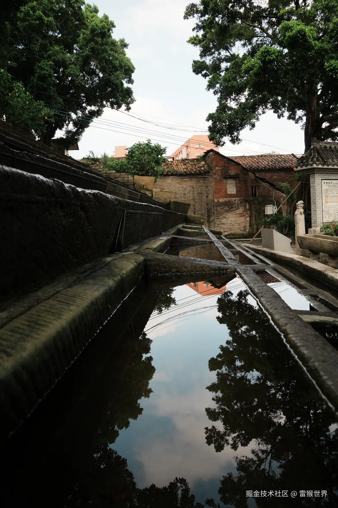 雷猴世界于2025-10-23 14:39发布的图片