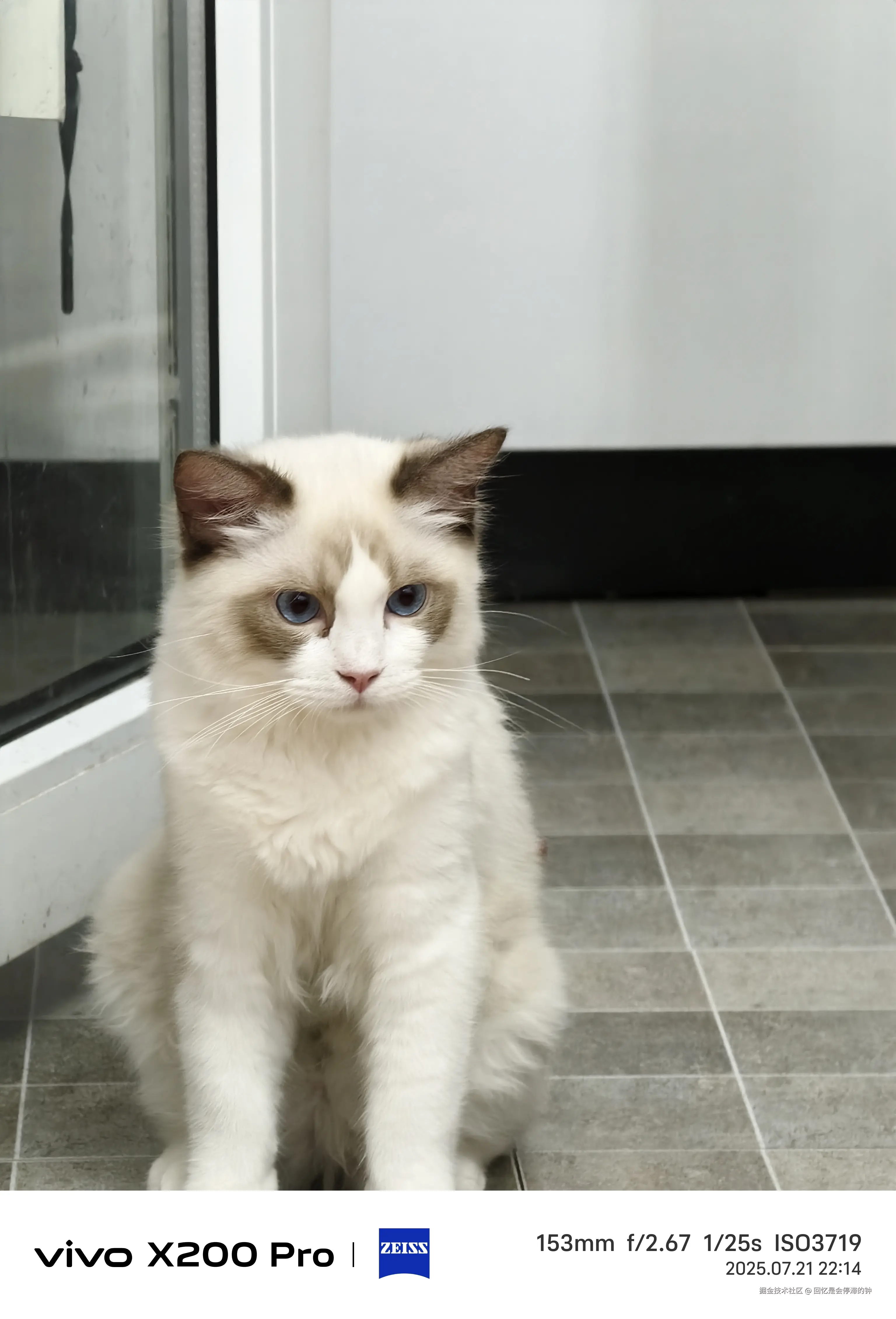 回忆是会停滞的钟于2025-07-31 16:00发布的图片