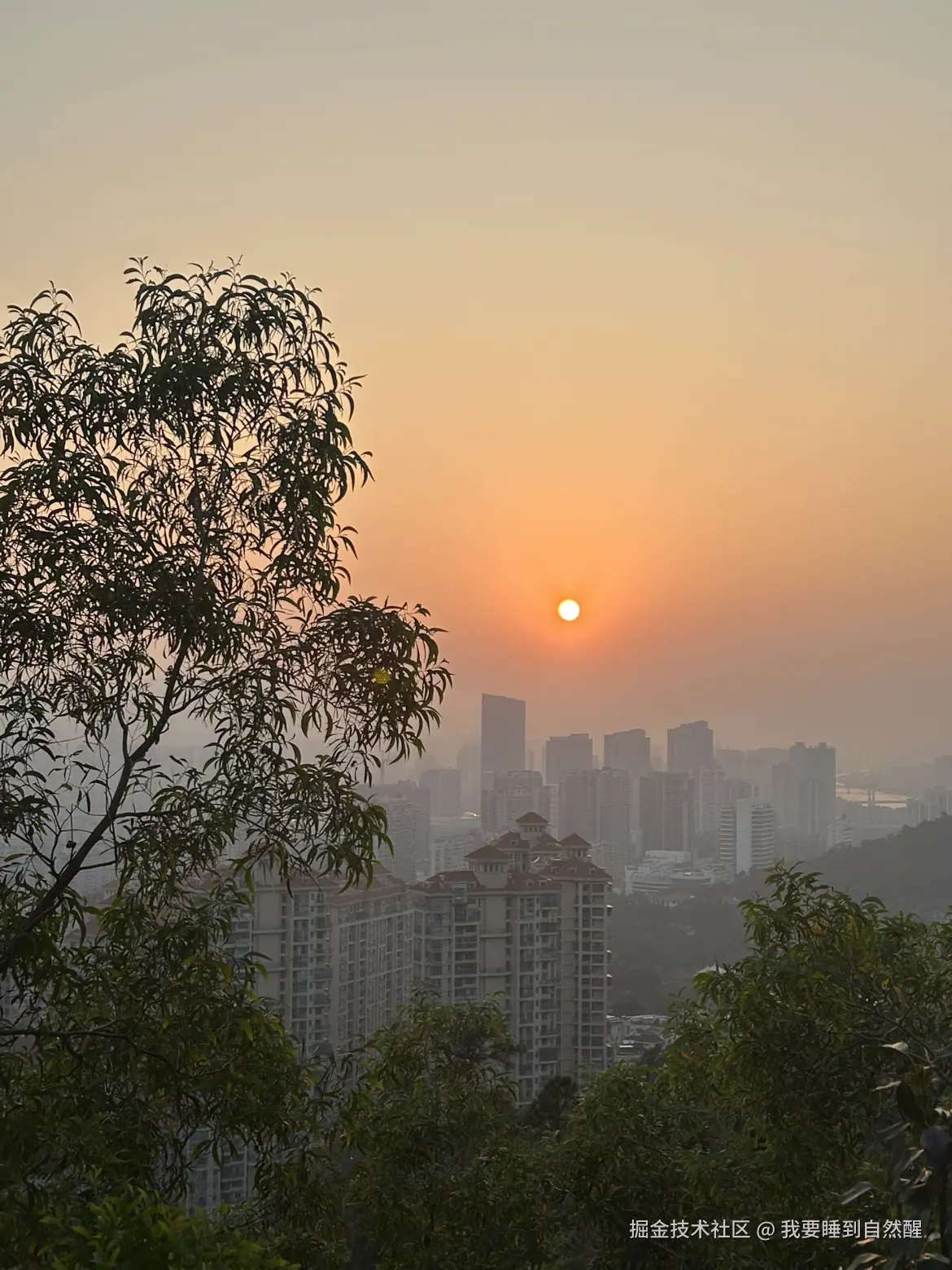 我要睡到自然醒于2025-12-08 11:05发布的图片